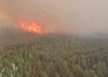 What is really causing Canada’s raging wildfires? It’s not as simple as blaming climate change, expert says