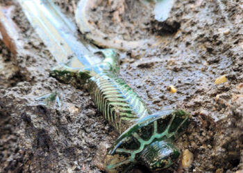 ‘Octagonal’ sword from Bronze Age burial in Germany is so well preserved it shines