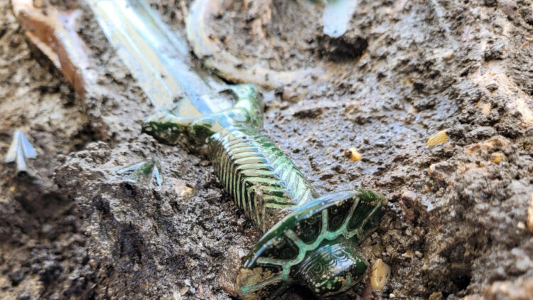 ‘Octagonal’ sword from Bronze Age burial in Germany is so well preserved it shines