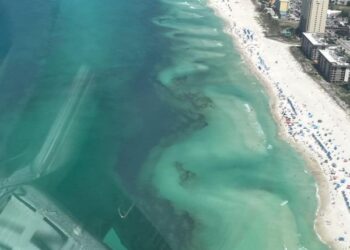 7 die at Panama City Beach; sheriff “frustrated” by ignored warnings