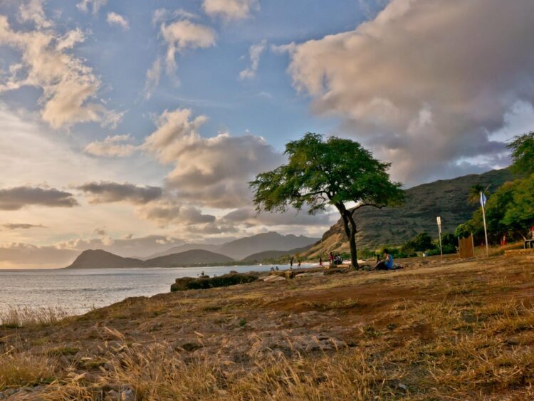 A man drowned snorkelling in Hawaii on his honeymoon. While rescuers scrambled to help, thieves stole the couple’s cell phones, wallets, and rental car.