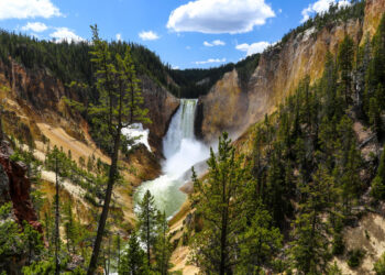 Yellowstone tourist dodges safety barriers to lead child to brink of raging waterfall