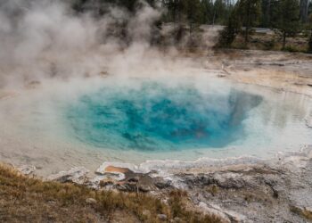 A visitor at Yellowstone National Park scrambled away in shock after she ignored warnings and put her hand into a steaming hot spring