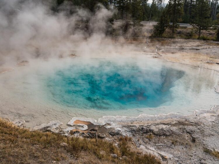A visitor at Yellowstone National Park scrambled away in shock after she ignored warnings and put her hand into a steaming hot spring
