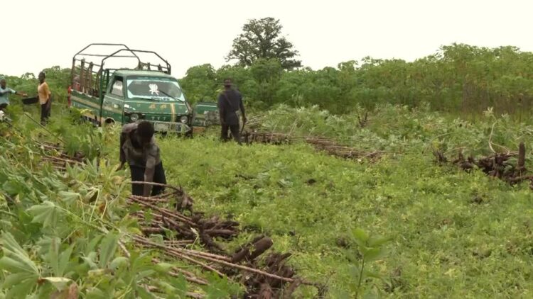 Nestle ramps up Nigeria raw material sourcing