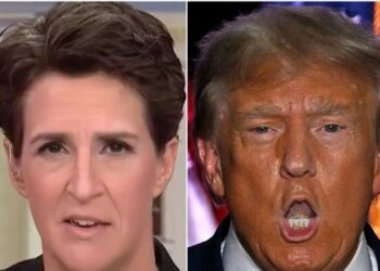 Rachel Maddow Spots Trump’s Most ‘Personally Embarrassing’ Part Of Indictment