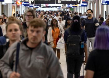 A woman who was denied boarding by Spirit Airlines for being ‘too intoxicated’ slapped a gate agent, local media reports