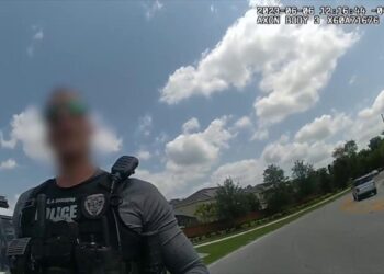 Florida cop arrested, stripped of duties after sheriff's deputy stops him for 'reckless driving'