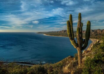 Two Americans found dead at Mexico resort died from inhaling toxic gas