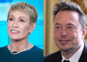 Property titan and Shark Tank star Barbara Corcoran says Elon Musk is right about commercial office space