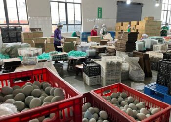 Their parents made China the world’s factory. Can the kids save the family business?