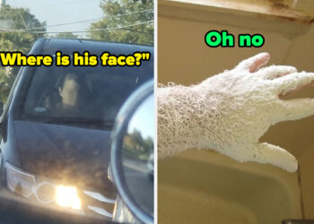 Crikey, These 17 Photos Made My Heart Burst Out Of My Throat