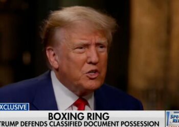 Viewers React To Donald Trump’s ‘Incoherent’ Fox News Interview