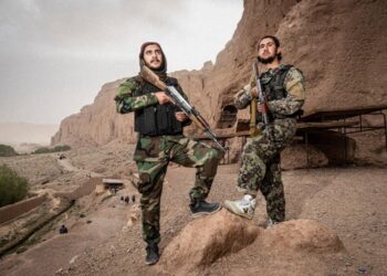 How the Taliban launched the most ‘most successful counter-narcotics effort in human history’