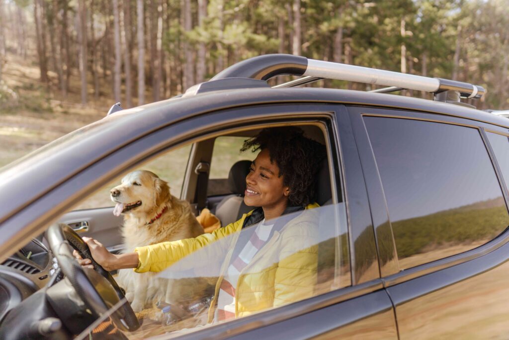 car loans