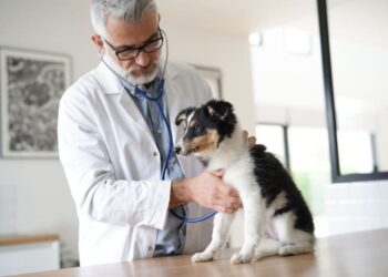 Pet Health